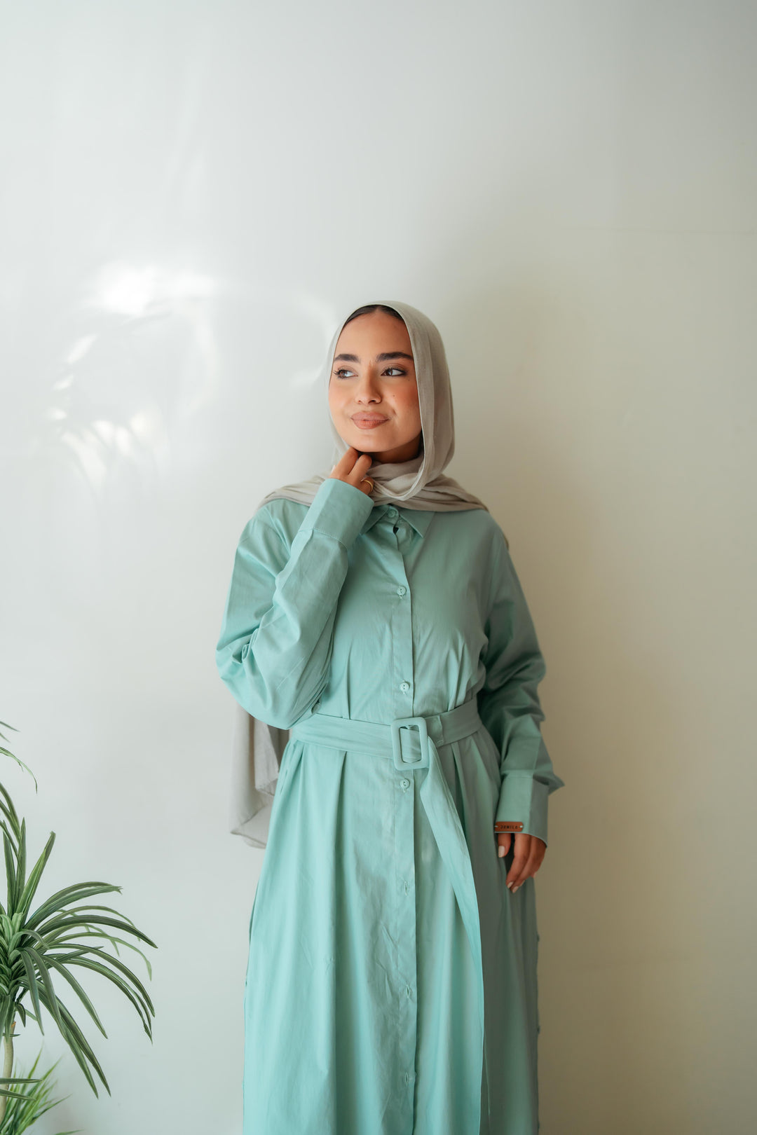 Double Side Buttons Dress