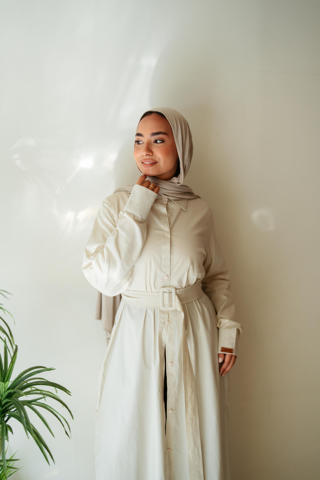 Double Side Buttons Dress