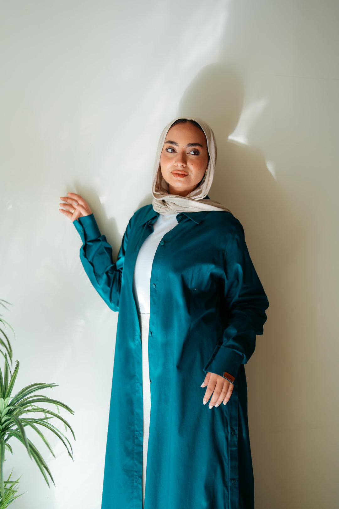 Double Side Buttons Dress