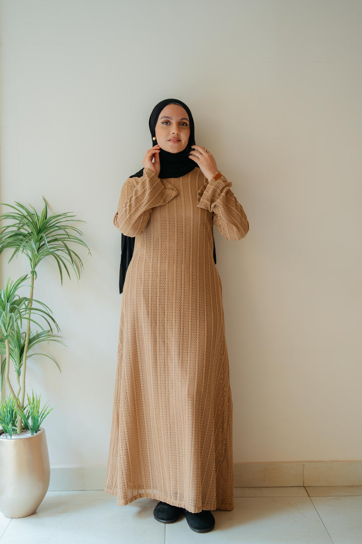 Net Look Dress