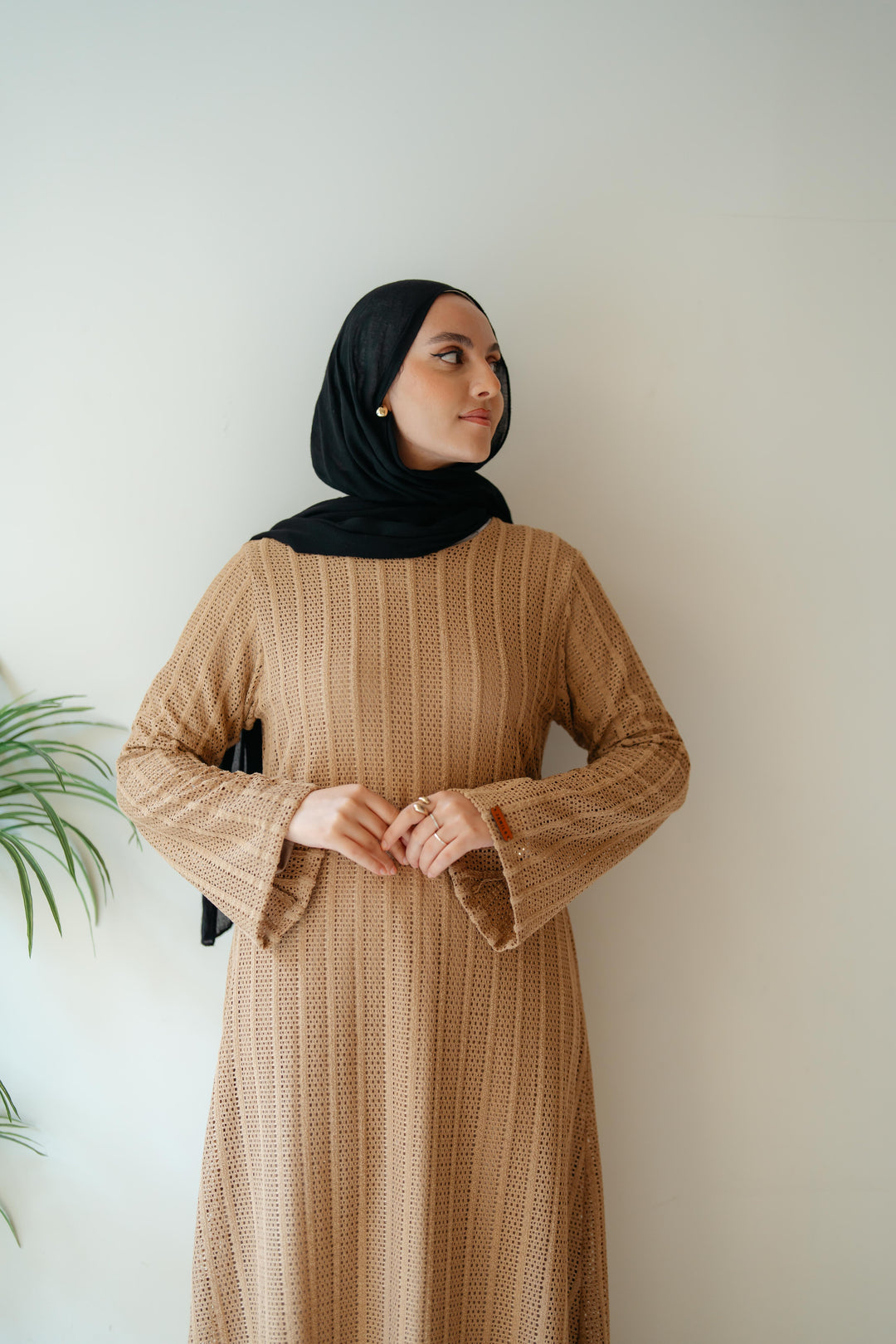Net Look Dress