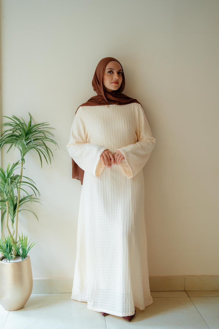 Net Look Dress