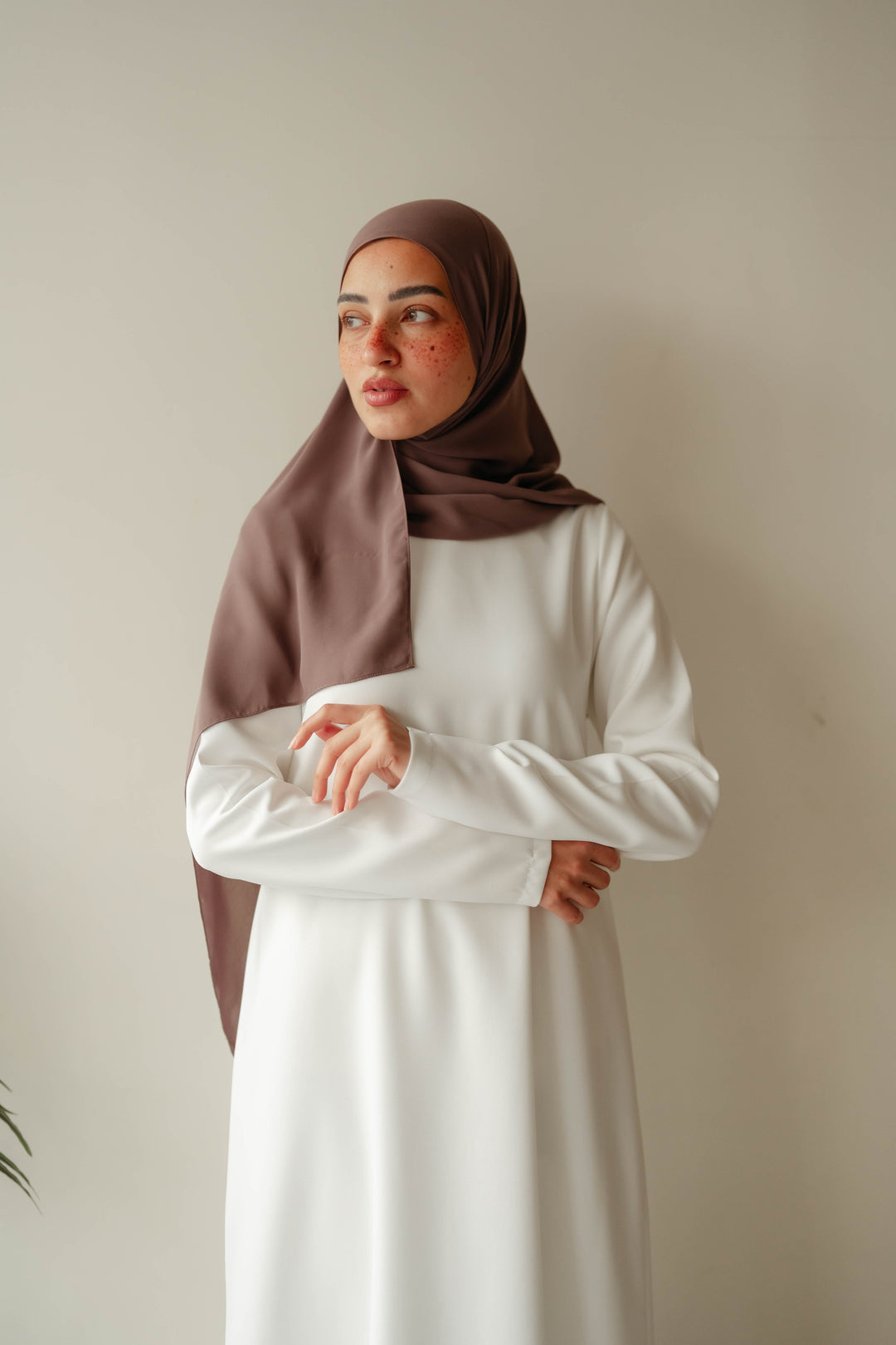Rosaline Basic Dress ( Sleeves)