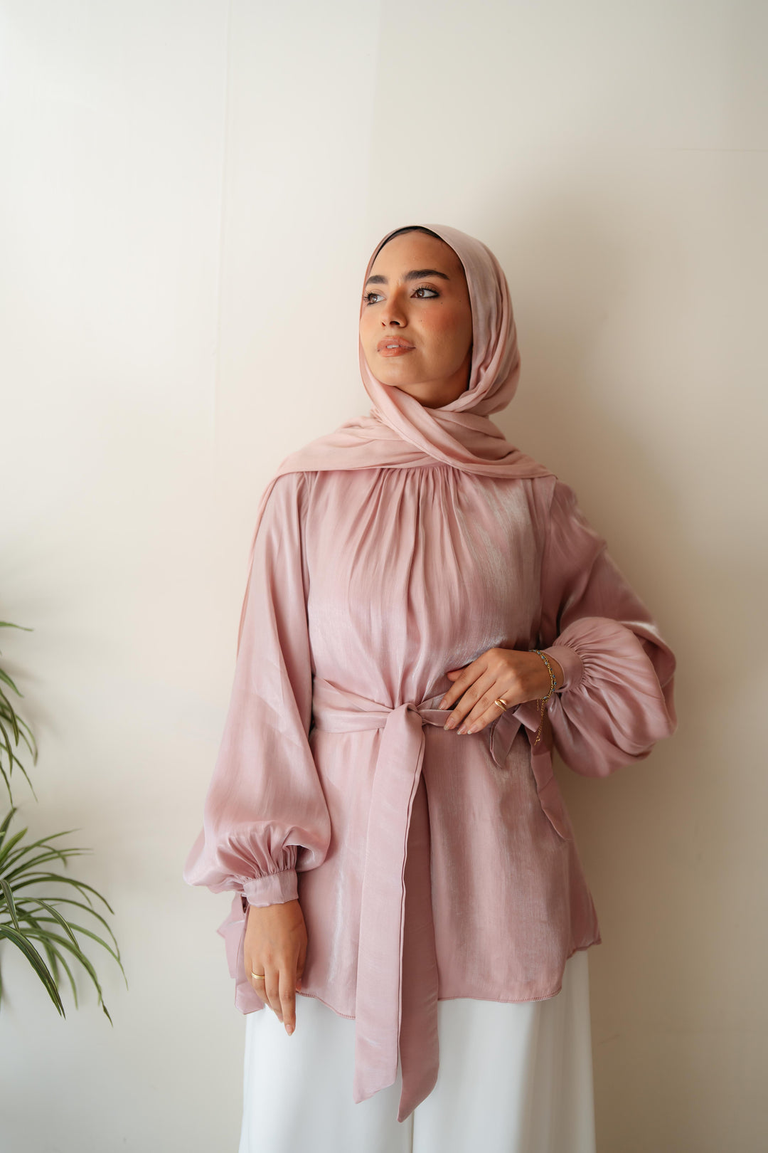 Shimmery Blouse