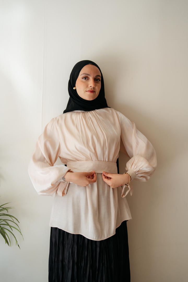 Shimmery Blouse