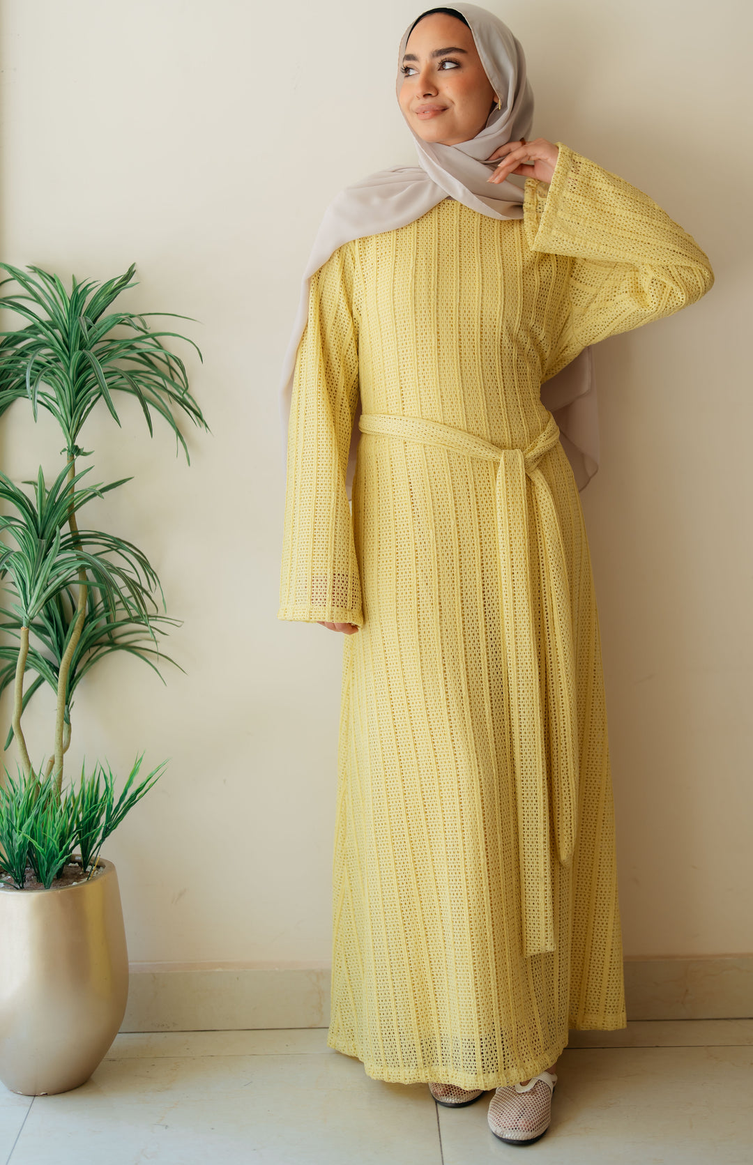 Net Look Dress