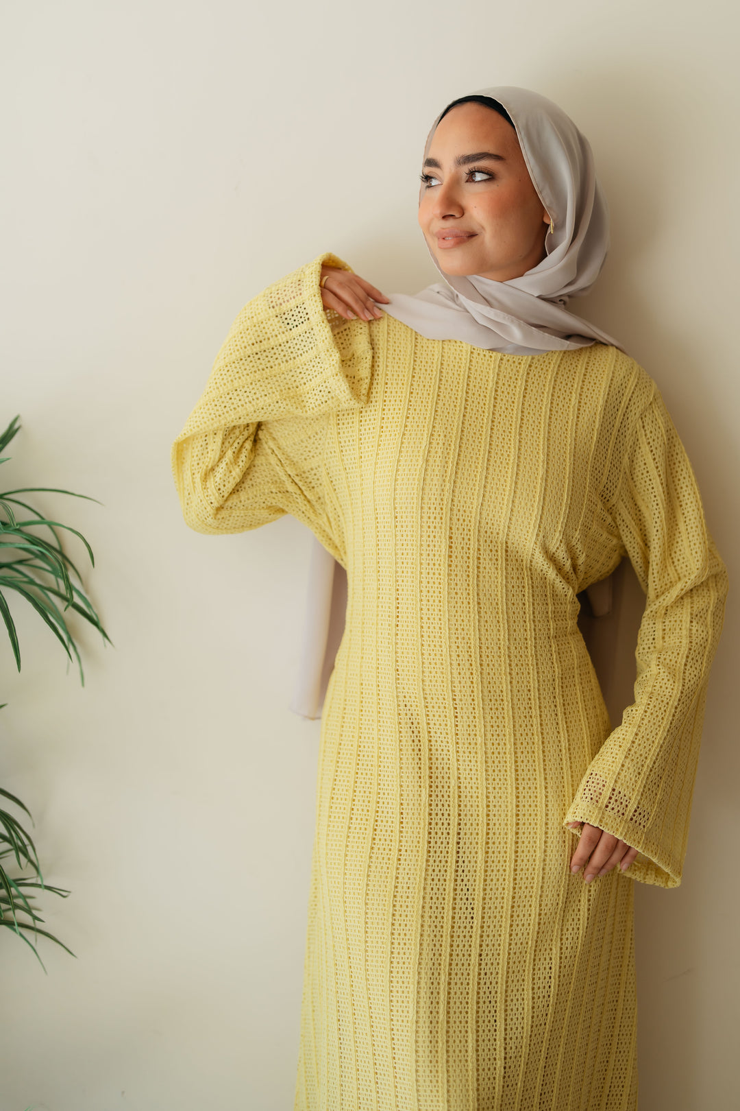 Net Look Dress