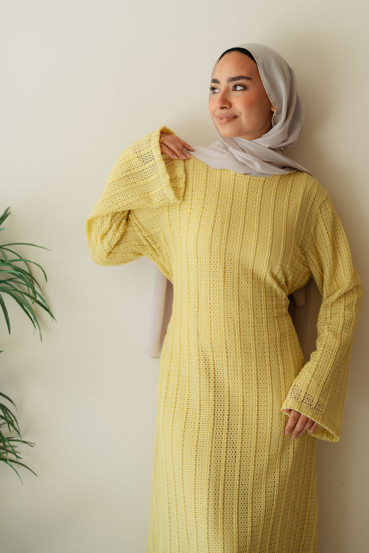 Net Look Dress