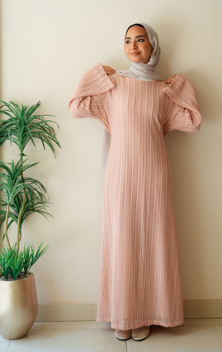 Net Look Dress