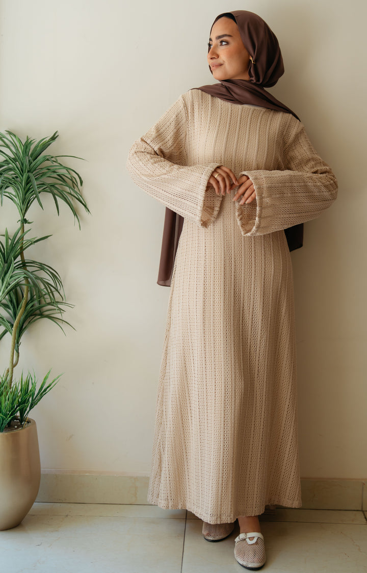 Net Look Dress