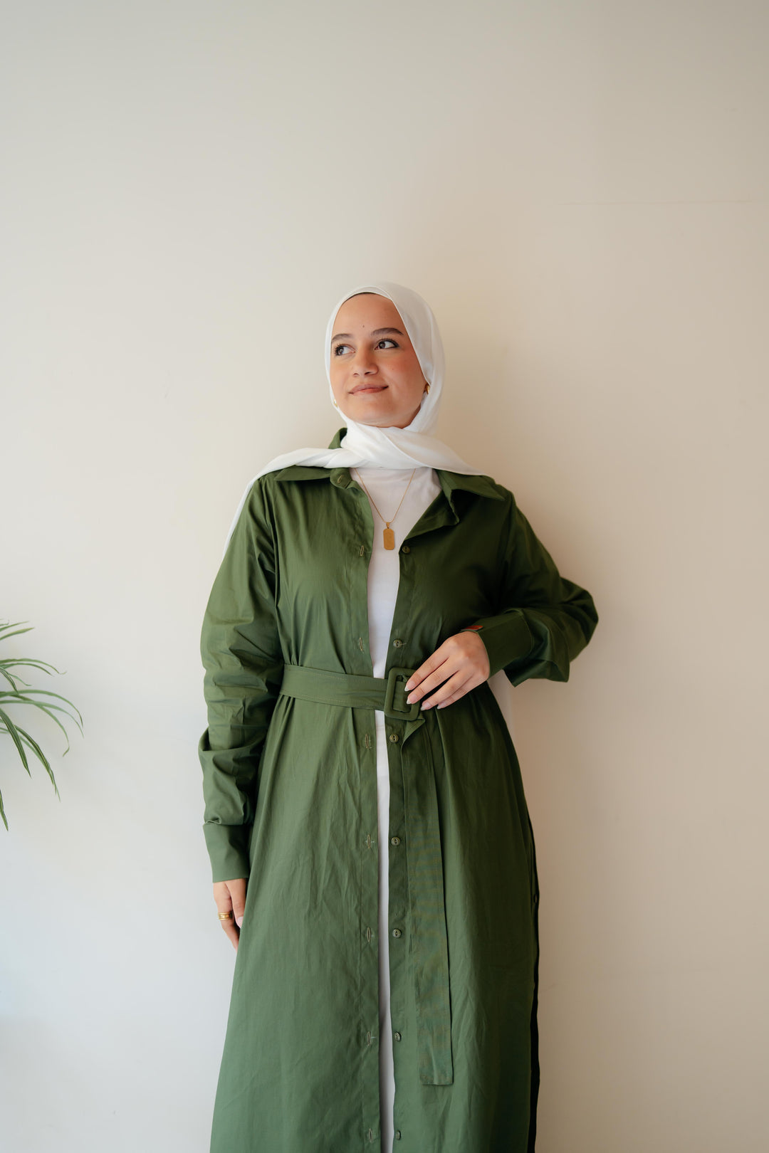 Double Side Buttons Dress