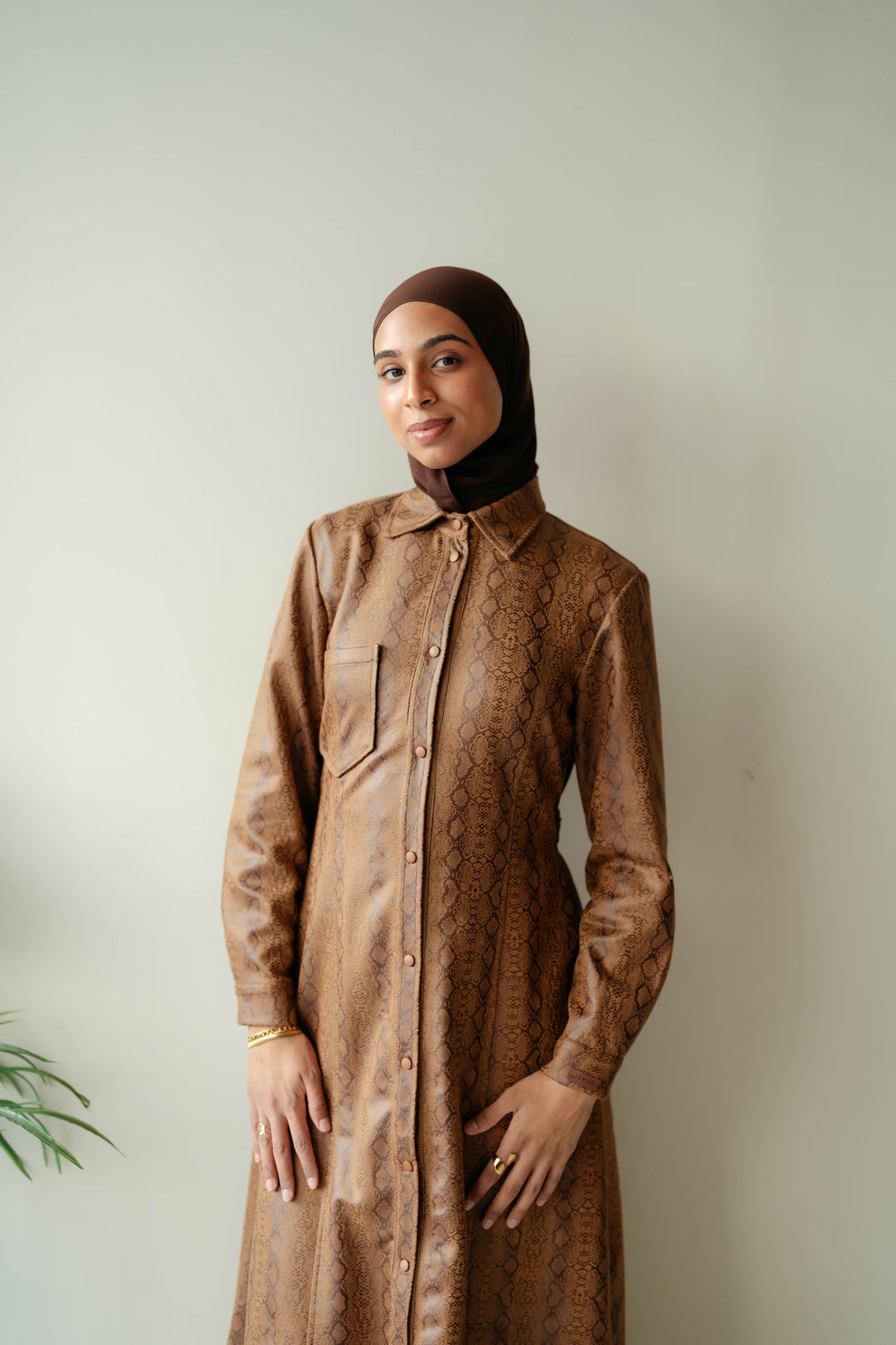 Ruba Dress