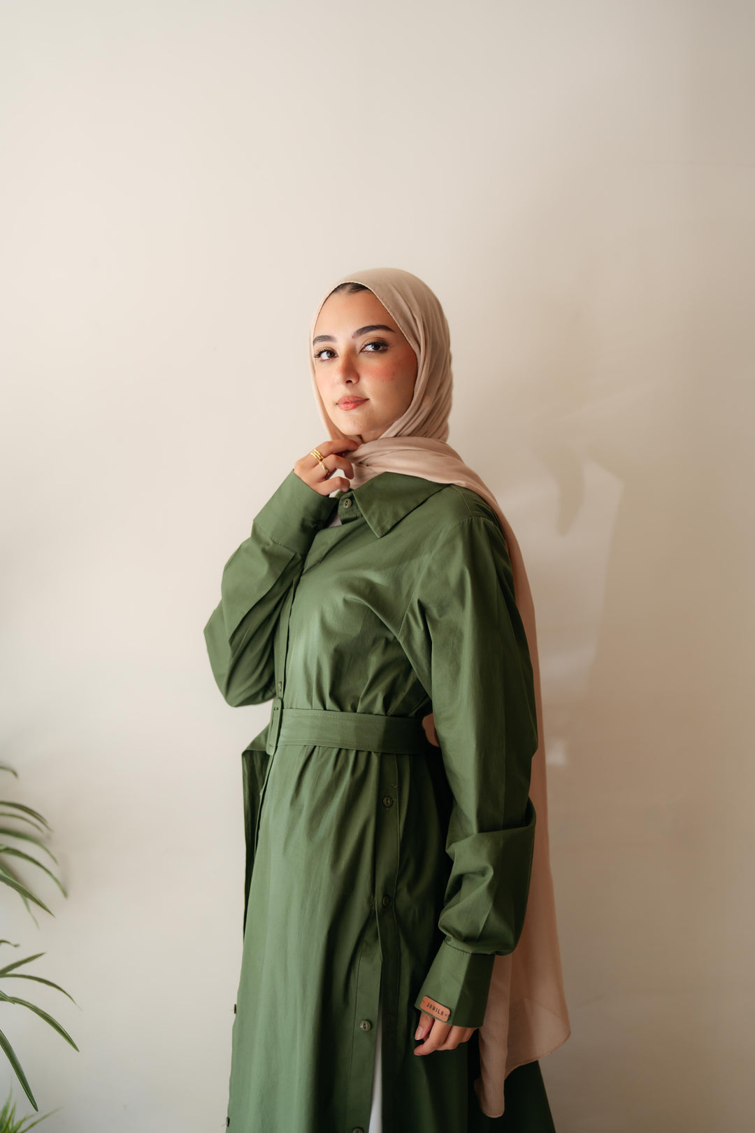 Double Side Buttons Dress