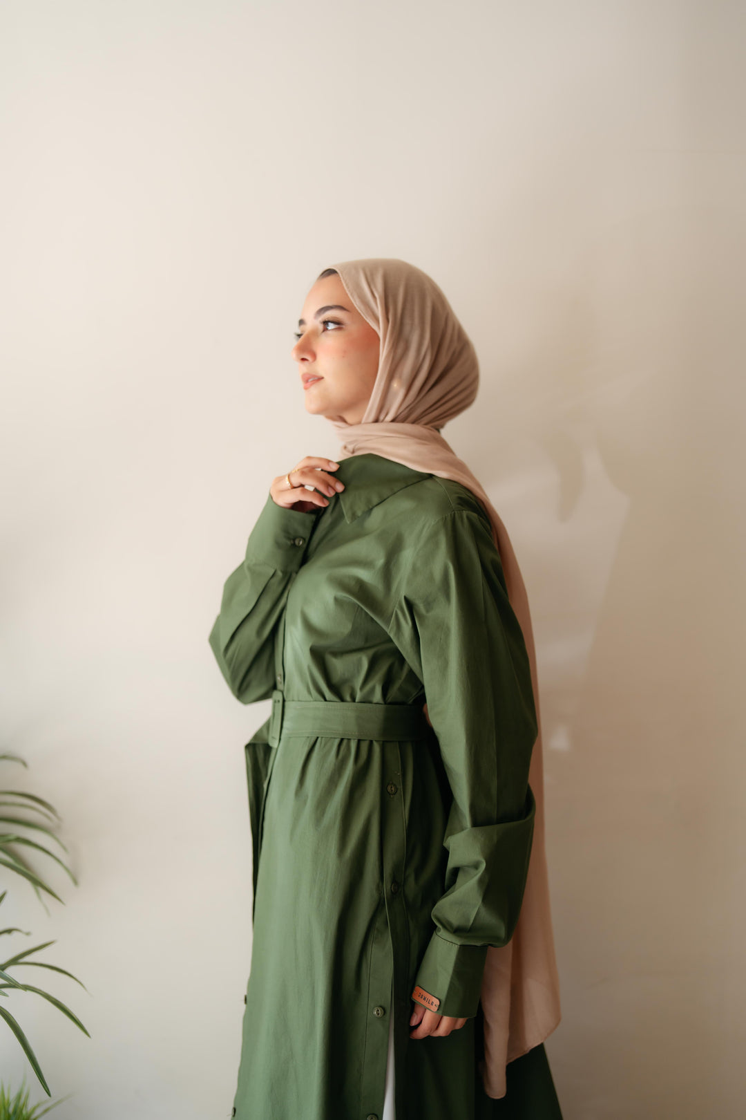 Double Side Buttons Dress