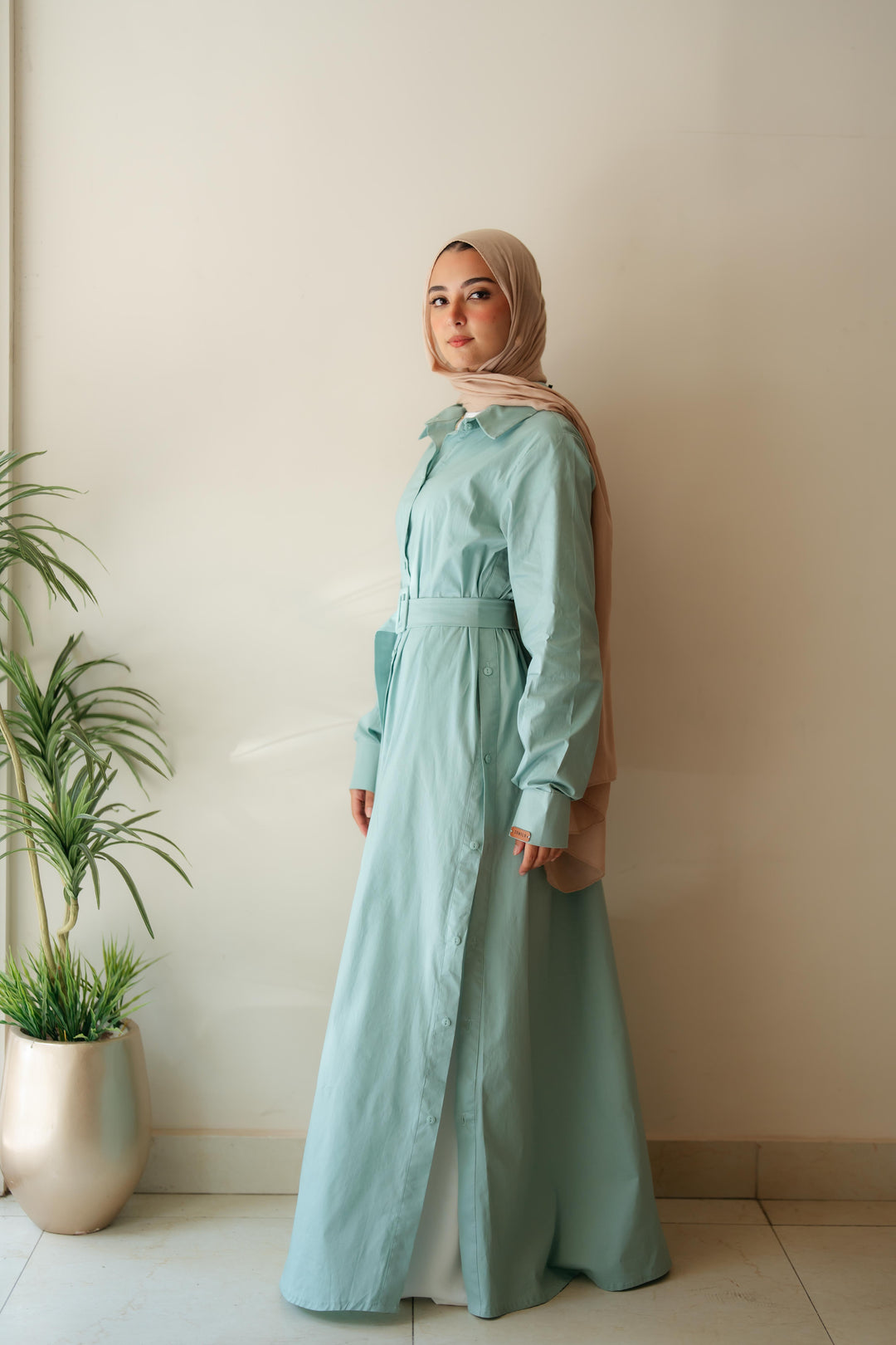 Double Side Buttons Dress