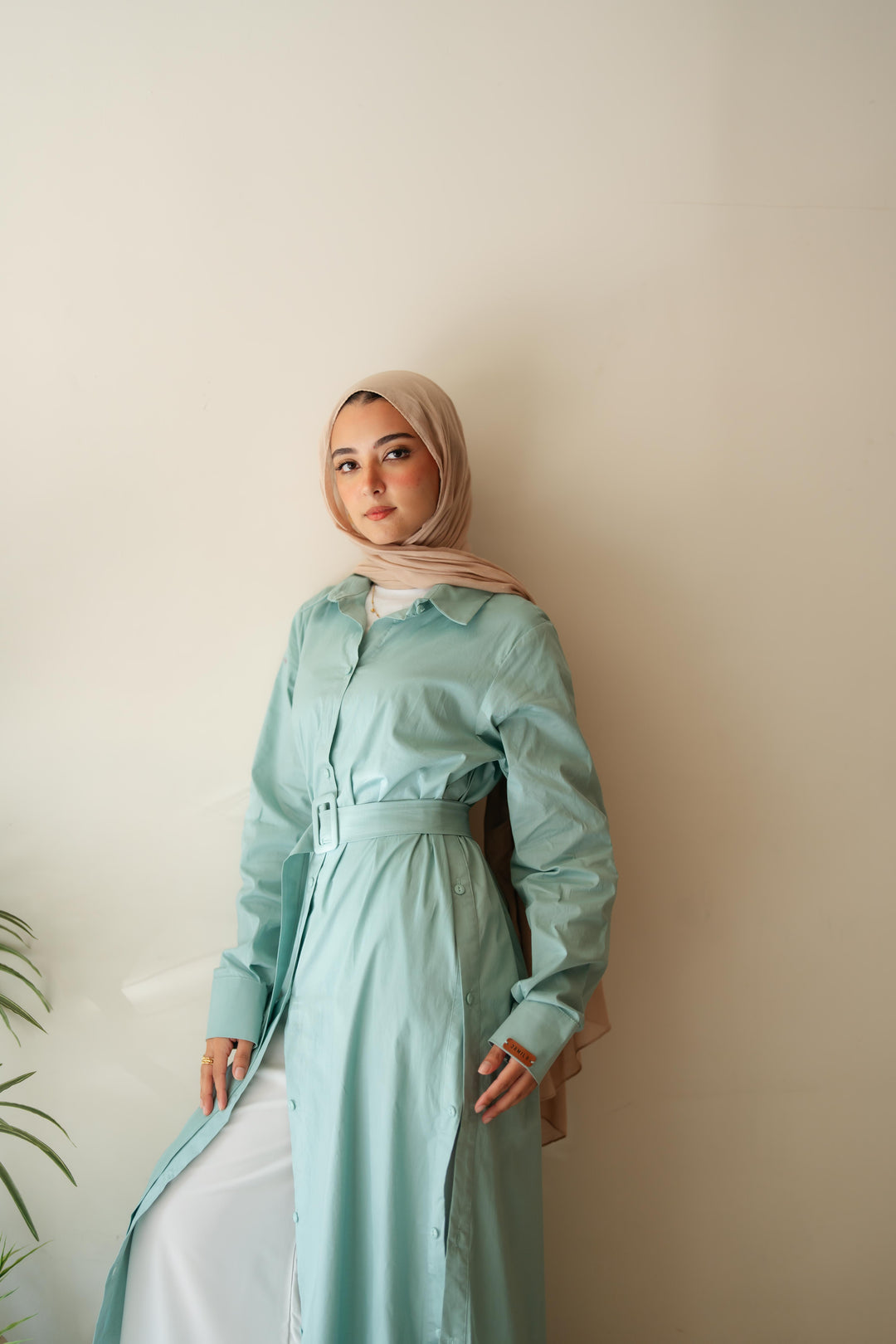 Double Side Buttons Dress