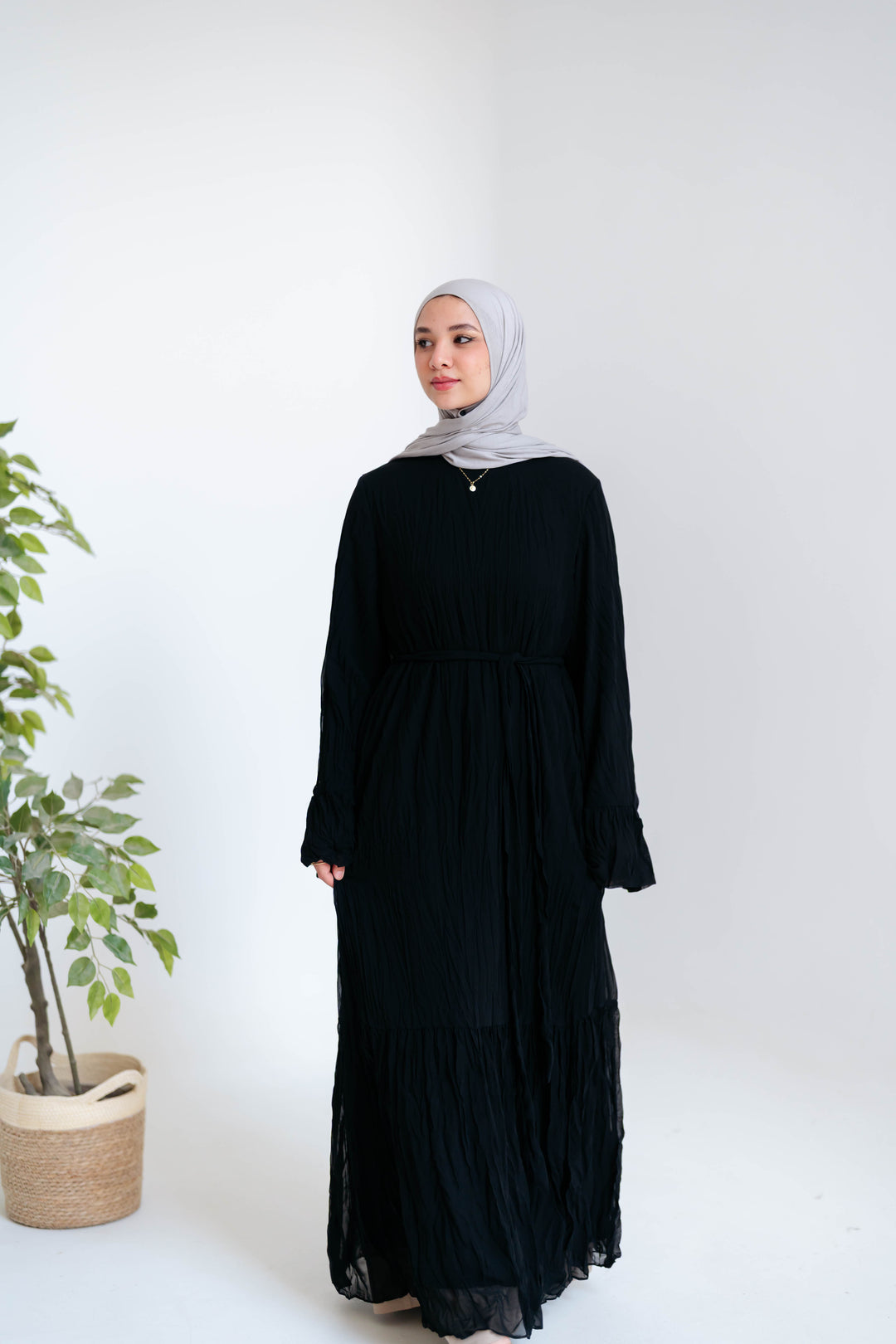 Crinckle Dress