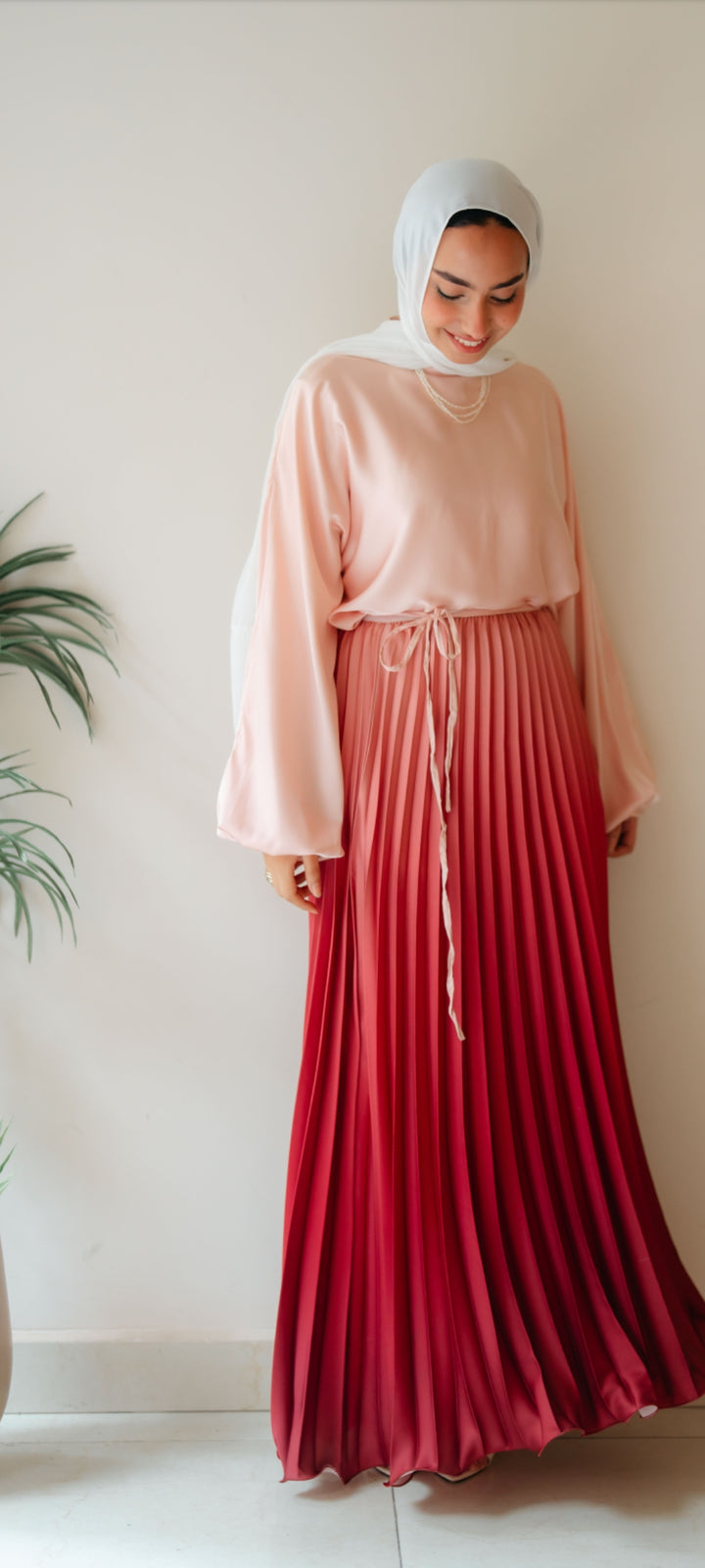 Degrade Skirt