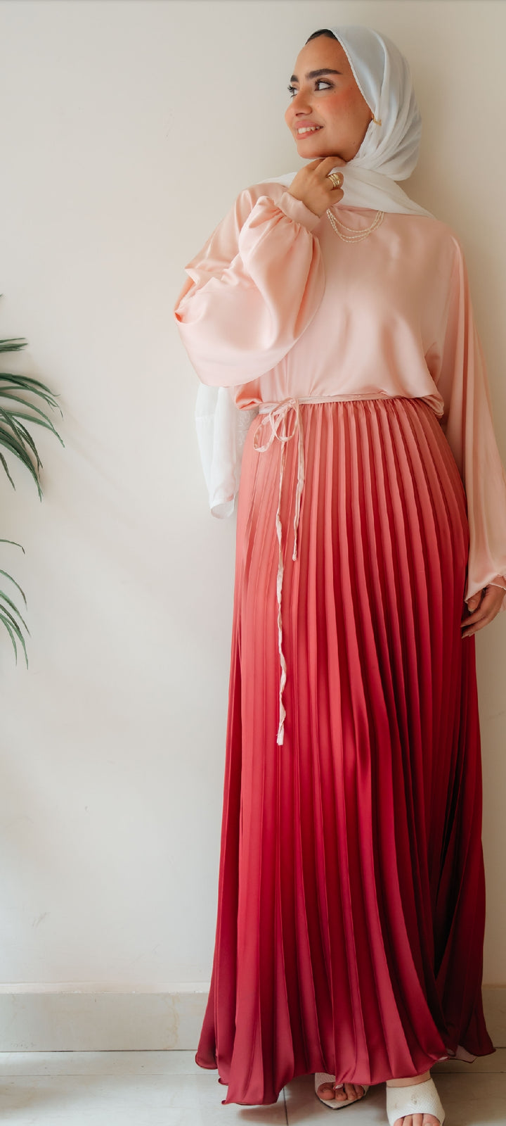 Degrade Skirt