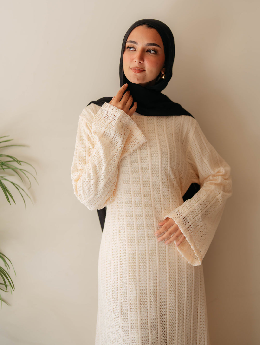 Net Look Dress