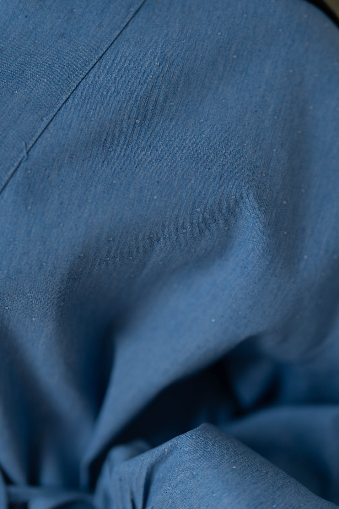 Shine Denim Blouse